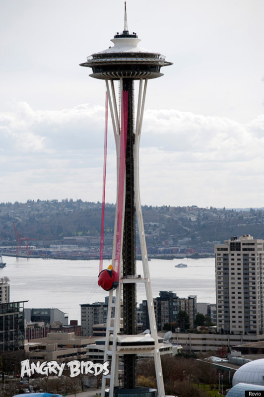 1464328954-5661-Y-BIRDS-SPACE-NEEDLE-SEATTLE