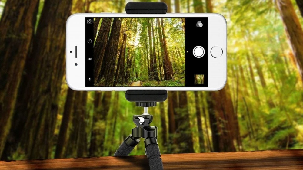 The UBeesize phone tripod attached to a wooden railing and shooting a picture of a forest.